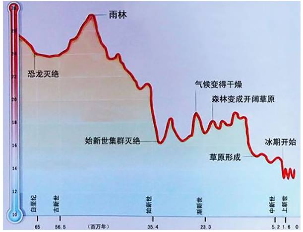 第四纪大冰期的未解之谜