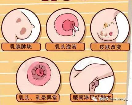 ②乳头乳晕颜色黑:肝火旺,肝气郁结,代谢差 ③乳头乳晕淡白……气血