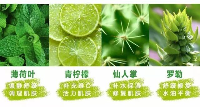 薄荷叶怎样用法 a5ba9d3896775171542.jpg