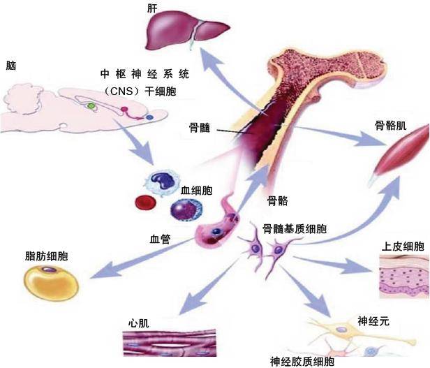 a8nx9a4575883628758.png