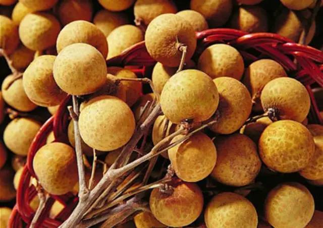 水果吃错了,比吃肉还容易胖!-体育频道-手机搜