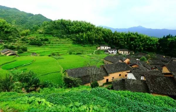 龙川多少人口_龙川霍山