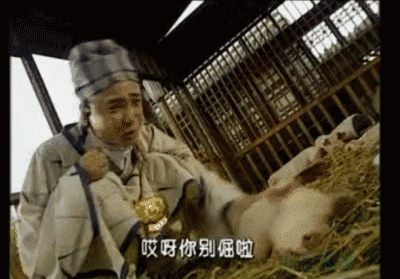 《春光灿烂猪八戒》里有只演技猪,当年的表现秒杀全场