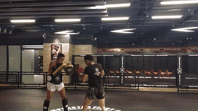 泰拳, 巴西柔术 女子防身术跆拳道, 拳击, 中国式摔跤 mma综合格斗