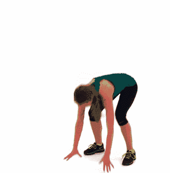 健身gif:1个动作,收服整个健身房!-体育频道-手机搜狐