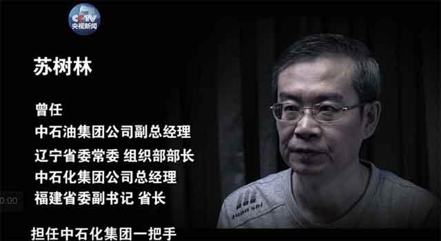 苏树林,2007年到2011年间担任中石化集团一把手。2014年11月,中央第六巡视组巡视中石化,2015年10月,已经担任福建省委副书记、省长的苏树林,因为在中石化期间的问题被立案审查。