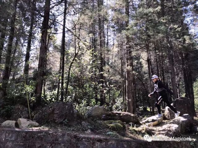 回购协议是什么意思新股认购