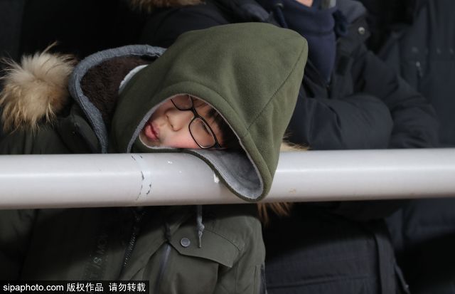 黑马股是什么意思意思