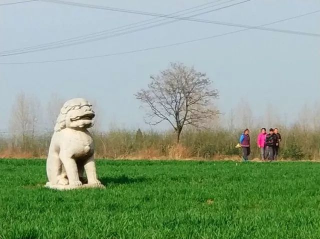 散文:走过少陵原(霓光丽影)