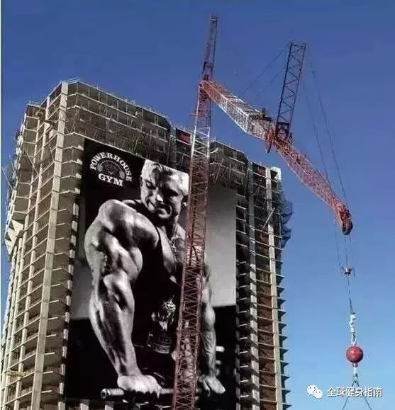 股票仓位是什么意思