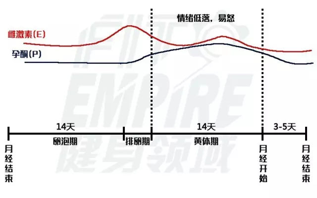 基线。月经期：就是大姨妈来啦！所谓的”经期“,一般是2-7天,平均3-5天。