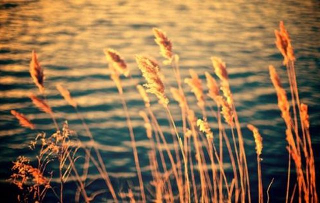 k线指标详解图解