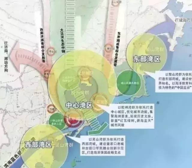2017年青岛市市经济总量_青岛市经济技术负责人(2)
