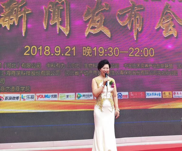▲神州大舞台副导演、中央电视台网河北办事处总编、百纳文化(河北)传媒有限公司董事长、本次新闻发布会主持人——陈红女士