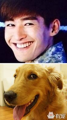 小图  讲道理,塘主张翰这个猥琐的表情已经被玩坏了.