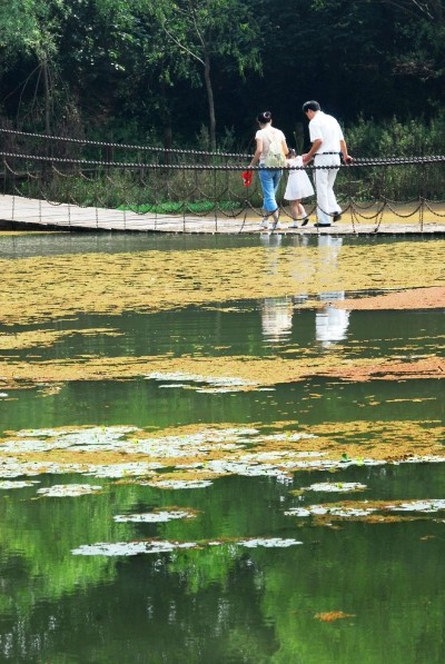 记者日前专访江都区区长马顺圣.