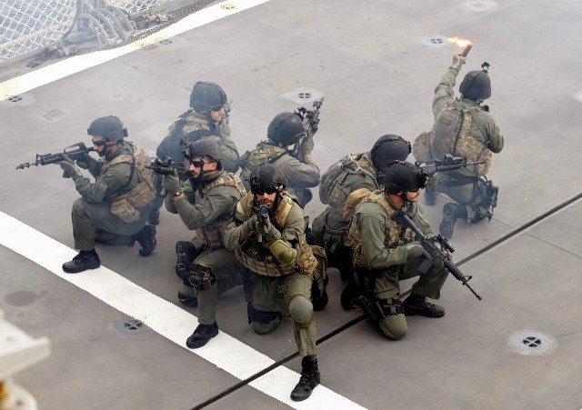 希腊反恐特种作战部队图片