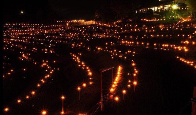 轻松管理手机 免费下载应用黄昏时分3000千盏松明灯同时亮起 当黑暗