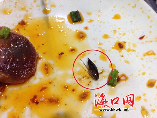 韩国烤肉吧"吃烤肉,不料在该店提供的腌肉中发现一只色泽鲜艳的"小强"