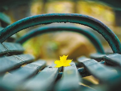 10月30日,大觉寺,一片金黄的树叶落在空荡荡的长椅上拍者 子丘