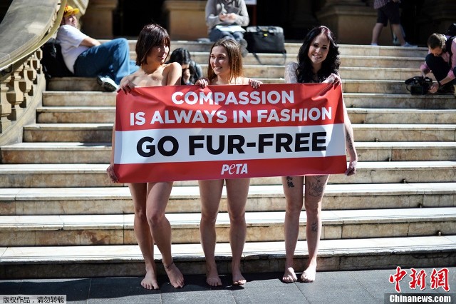 当地时间2013年8月21日,澳大利亚悉尼,善待动物组织peta成员手持标语