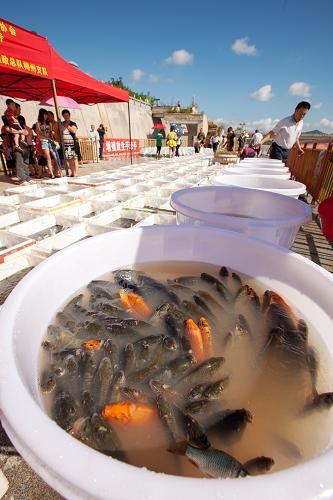 廣東梅州100萬尾魚苗放生梅江河(組圖)