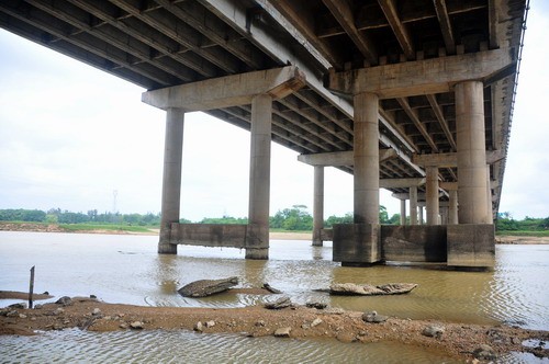南渡江大桥部分桥墩已经露出水面