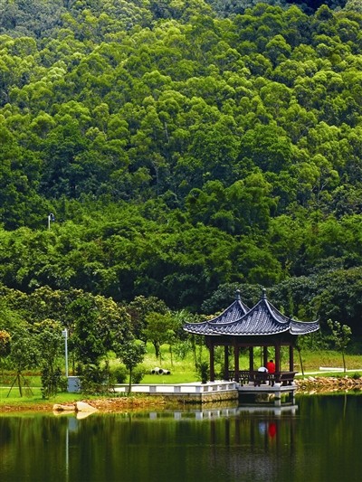 同沙生態公園美如畫 東莞時報資料圖