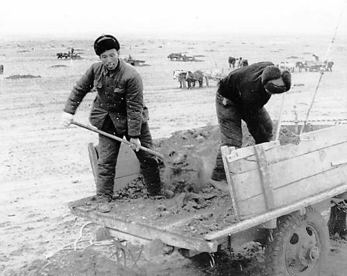 第一代垦荒队员在劳作 50多岁的孙文祥外表斯文瘦弱,在旁人眼中,很像