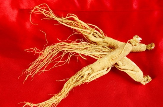 人参很滋补 细数吃人参的五大误区(组图)