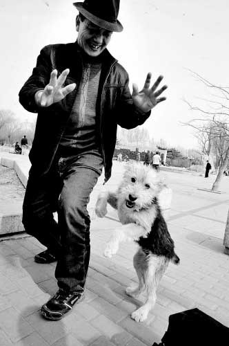 连救四条人命 失踪21天的义犬"奔儿喽"自己回家(组图)