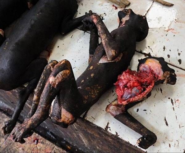 美食家搜奇之处,雨林美食令人毛骨悚然.