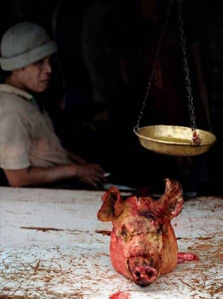 98印尼烤吃女记者图片图片