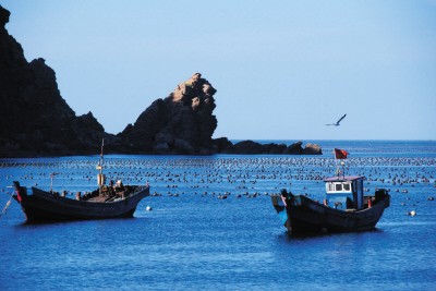 獨自漫步海洋島(組圖)