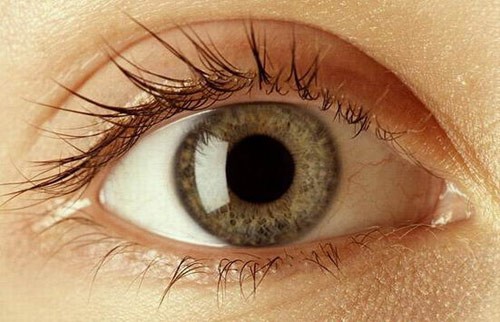 盘点各国机场收缴的东西(组图)