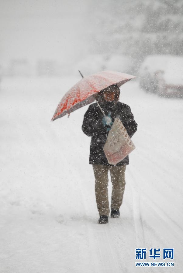 12月15日,一場大雪突降山東煙臺,街道樹木掛滿積雪.新華社發初陽