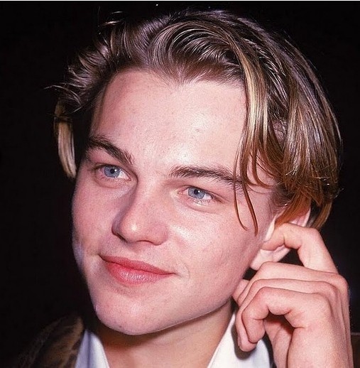 莱昂纳多演变史(组图)