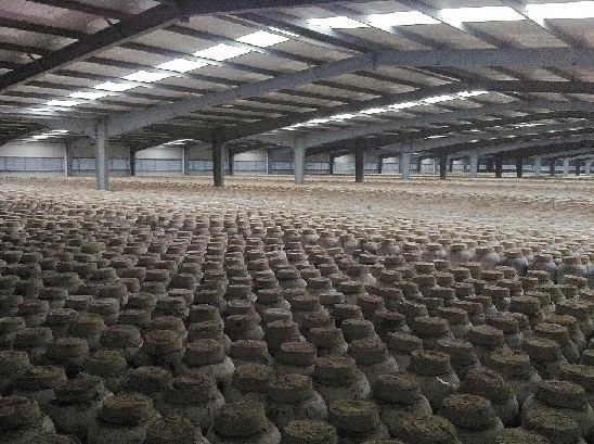 网友质疑"阿拉老酒" 才开8年哪来那么多十年醇(图)