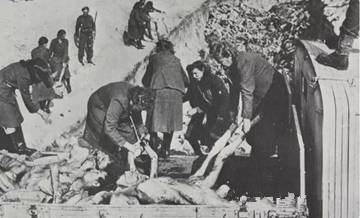 奥斯维辛集中营血腥图图片