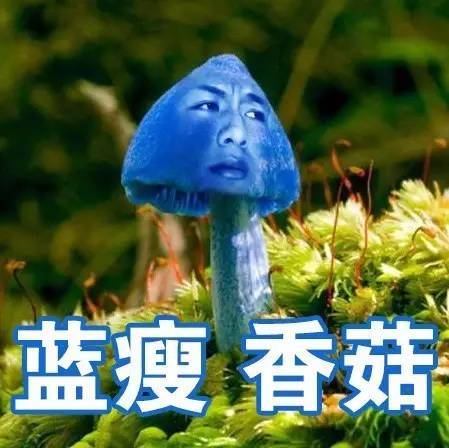 蓝瘦香菇哥离婚图片