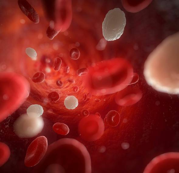 成都惊现"白血人"!再这样,你的血也会变成白色!