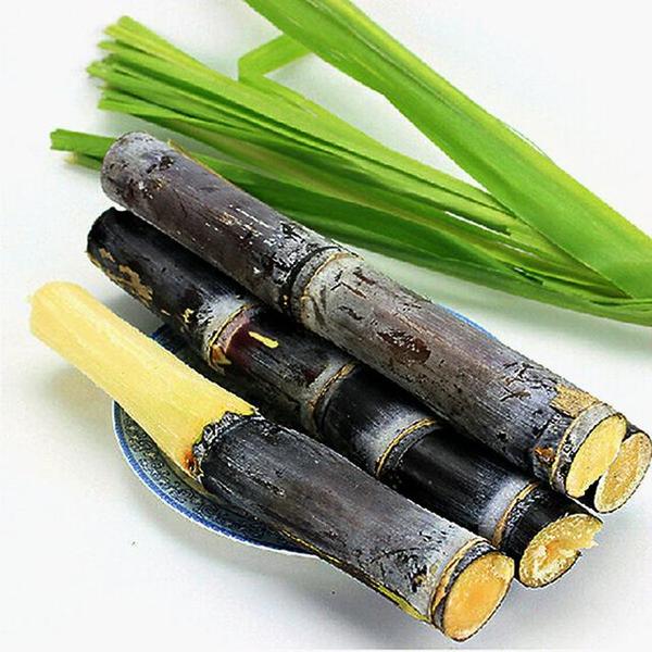 清热 生津 补肺 益胃 美味甘蔗功效 健康频道 手机搜狐