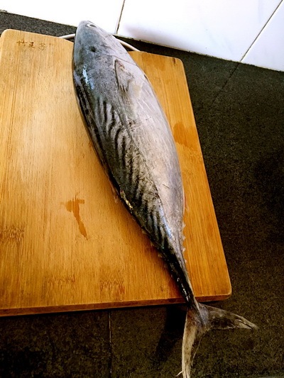 材料 鲣鱼头,葱,姜,豆腐,味噌