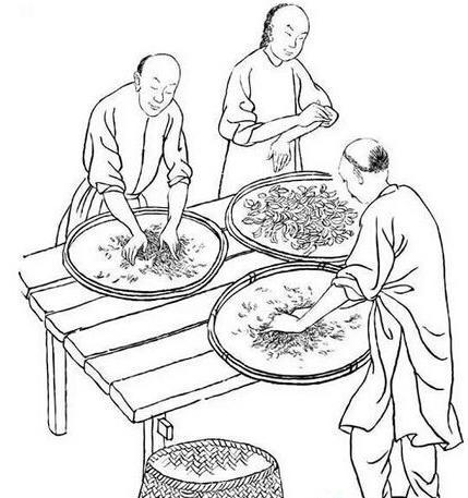 其工艺演变过程,大致可分以下几个阶段:散收无采造法阶段;普洱饼茶