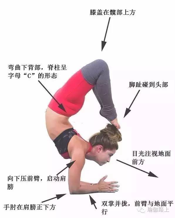 教你如何做瑜伽蝎子式(详细版)