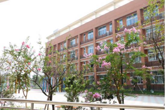 【走进北碚最美校园】人民路小学蔡家校区:为孩子插上腾飞的翅膀