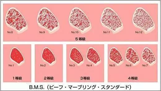 东京排名前7的高级和牛 你可能永远都订不到位 美食频道 手机搜狐