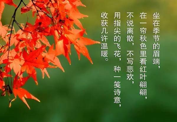 朗诵 煮字生暖 岁月安然 教育频道 手机搜狐