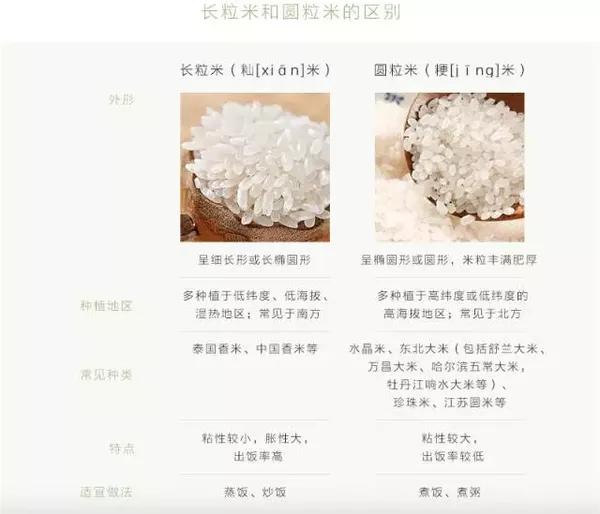 怎样才能用电饭煲做出好吃的米饭 美食频道 手机搜狐