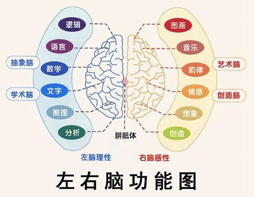 脑神经学家左脑中风右脑开悟 她是如何做到的 健康频道 手机搜狐